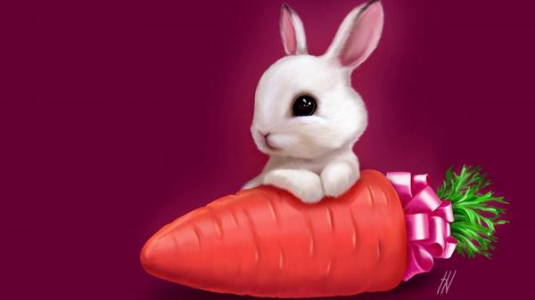 Free cute white rabbit with carrot photo in a raspberry color background hd animals wallpaper download