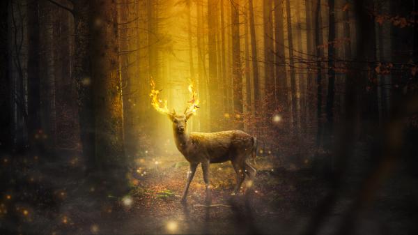 Free deer fantasy 4k wallpaper download