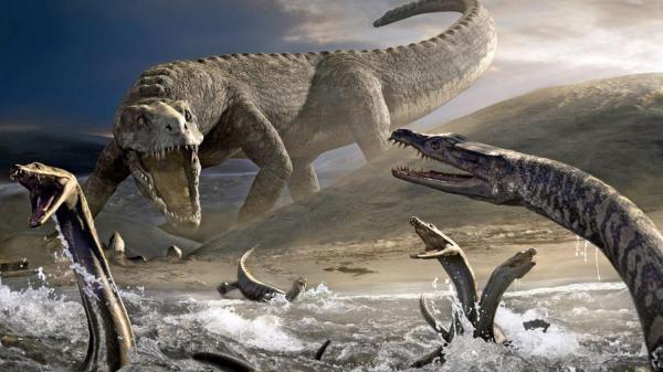 Free different kinds of dinosaurs hd dinosaur wallpaper download