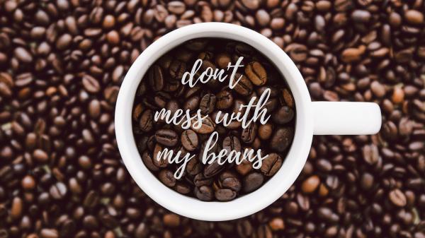 Free do not mess with by beans 4k hd inspirational wallpaper download