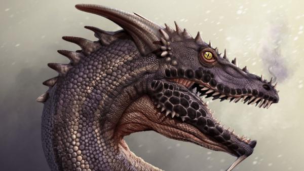 Free dragon monster fangs art 4k hd wallpaper download