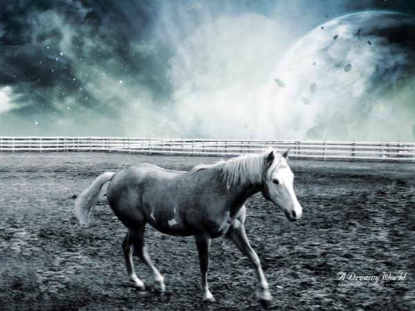 Free dreamy horse world wallpaper download