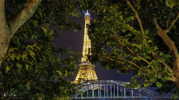 Free eiffel tower view from between trees hd travel wallpaper download