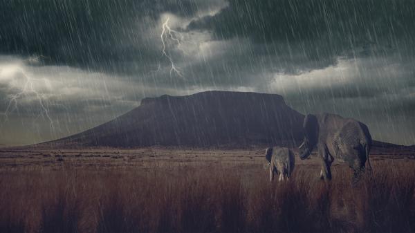 Free elephant and a baby elephant back view on rain with background of mountain clouds and lightning hd animals wallpaper download