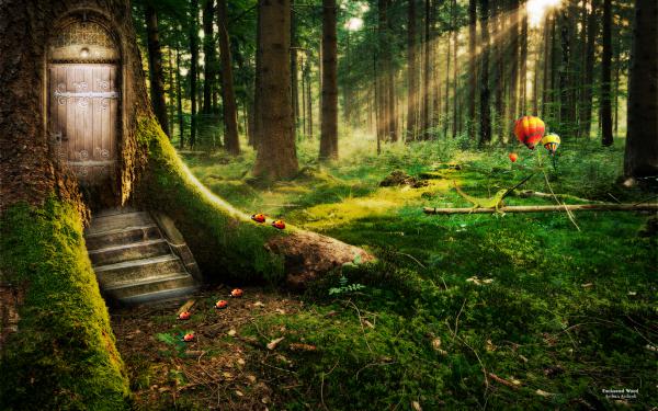 Free enchanted forest wallpaper download