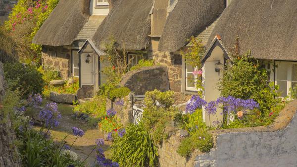 Free england cornwall cottage during daytime hd travel wallpaper download