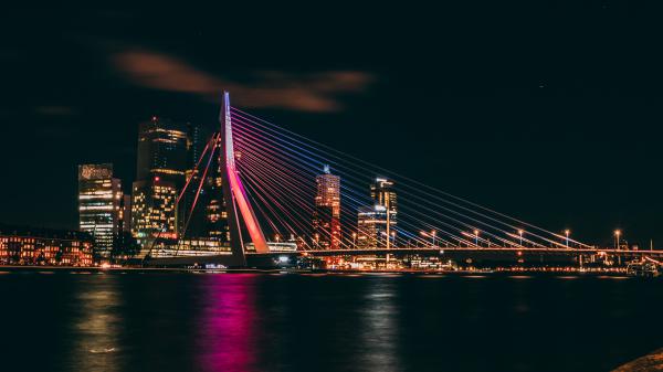 Free erasmus bridge at night rotterdam netherlands 5k wallpaper download