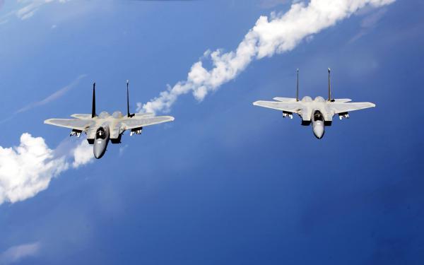 Free f 15 eagles from the air national guard wallpaper download