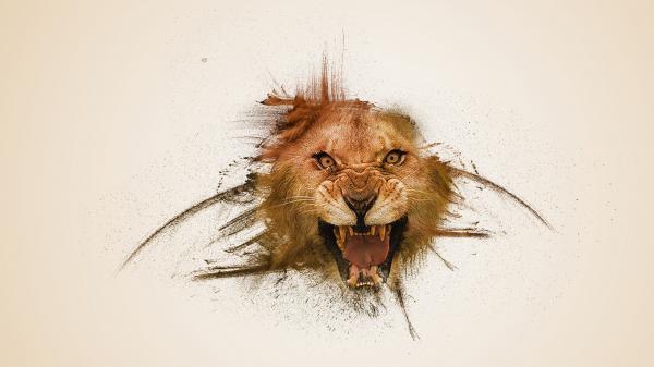 Free face of lion predator with white background 4k hd lion wallpaper download