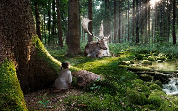 Free fairytale forest wallpaper download