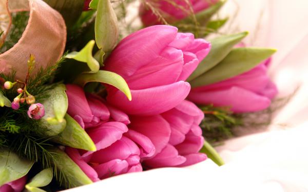 Free fancy pink flowers wallpaper download