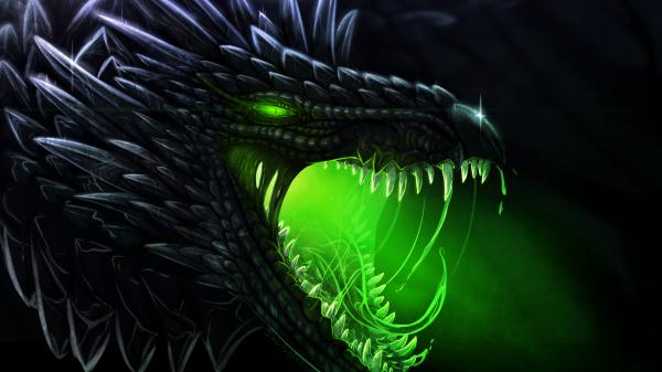 Free fantasy black dragon closeup photo with mouth open hd dreamy wallpaper download