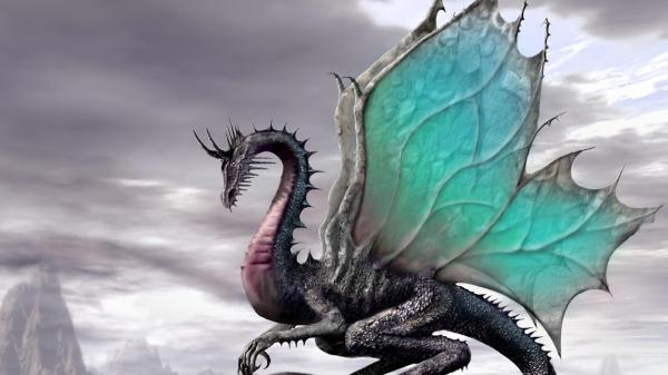 Free fantasy blue and black dragon is sitting on rock hd dreamy wallpaper download