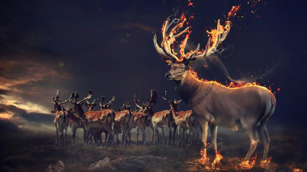 Free fantasy deers wallpaper download