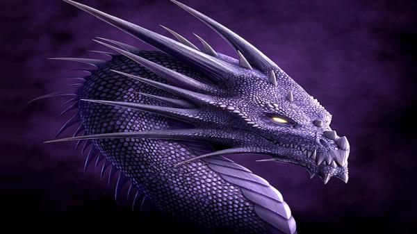 Free fantasy dragon in purple color background hd dreamy wallpaper download