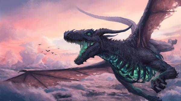 Free fantasy dragon is flying above on sky hd dreamy wallpaper download