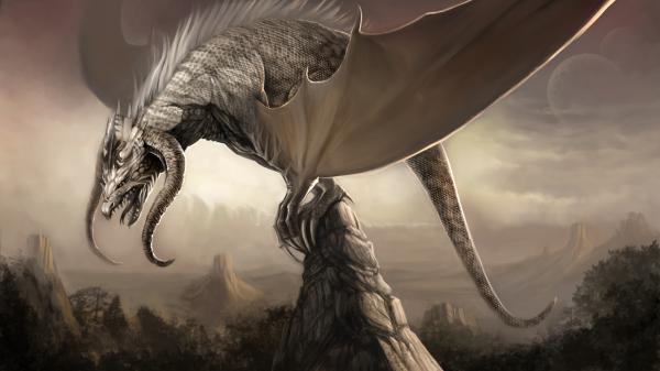 Free fantasy shallow focus photo of dragon hd dreamy wallpaper download