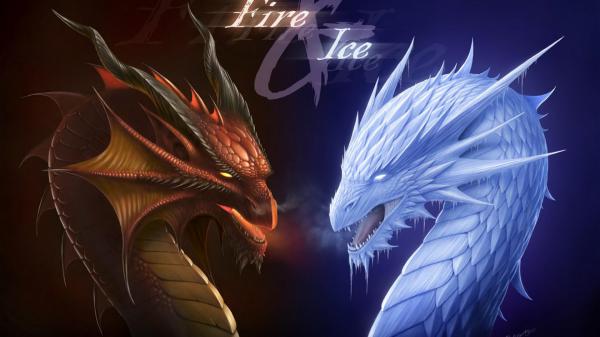 Free fantasy white and brown dragon hd dreamy wallpaper download