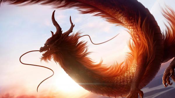 Free fantasy white dragon 4k hd wallpaper download