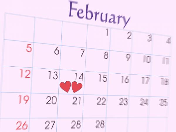 Free february special day 14th wallpaper download