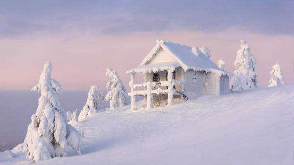 Free fir tree snow covered hut in snow field hd travel wallpaper download