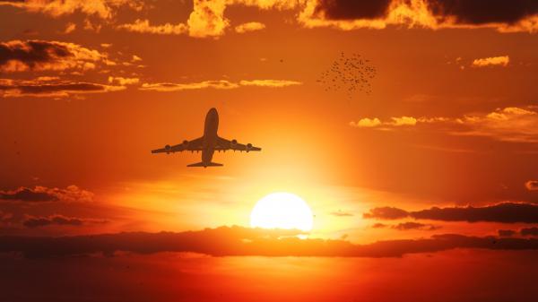 Free flight sunset 4k wallpaper download