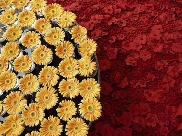 Free floral art exhibition wallpaper download