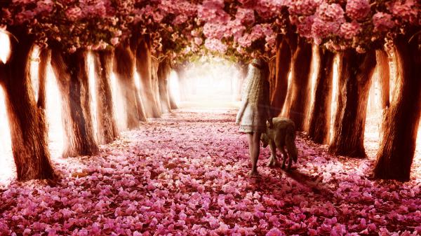 Free flower path wallpaper download