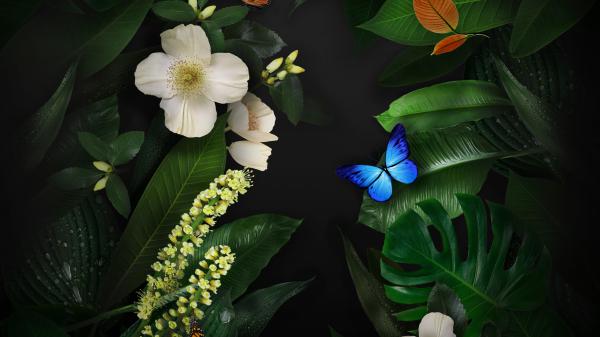 Free flowers butterflies wallpaper download