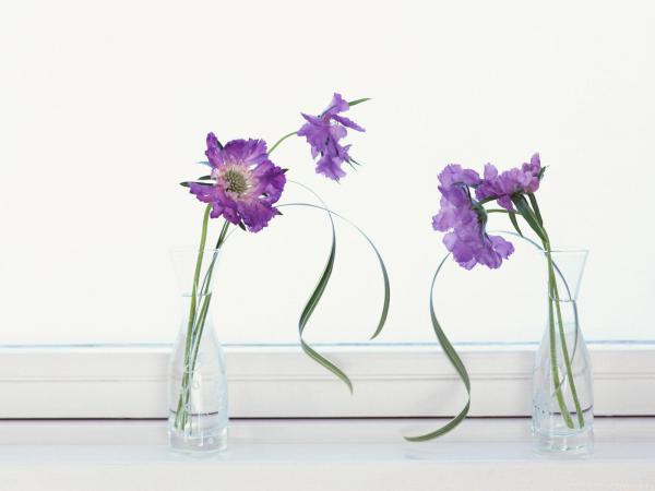 Free flowers decoration 3 wallpaper download