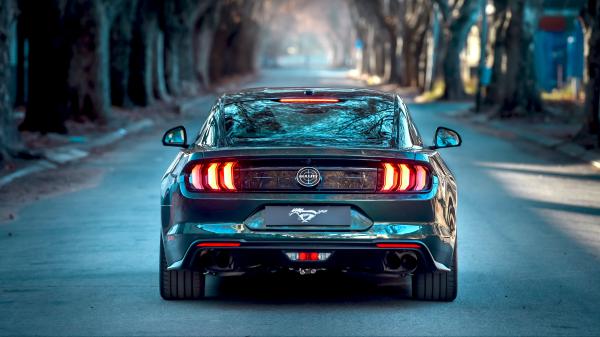 Free ford mustang bullitt 2019 5k wallpaper download