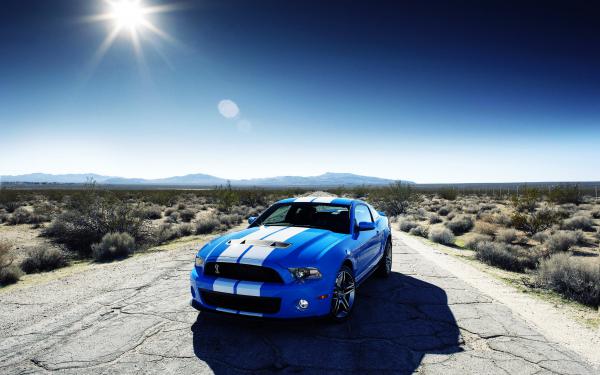 Free ford shelby gt500 car wallpaper download