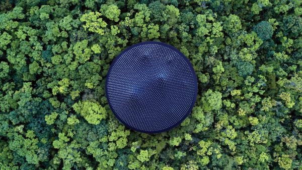 Free forest aerial view 4k wallpaper download