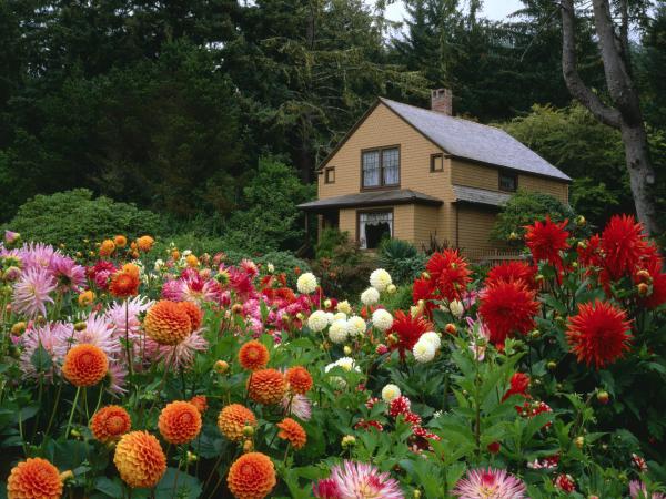 Free garden house oregon wallpaper download