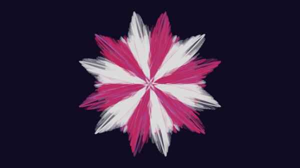 Free generative pink white flower in blue background hd abstract wallpaper download