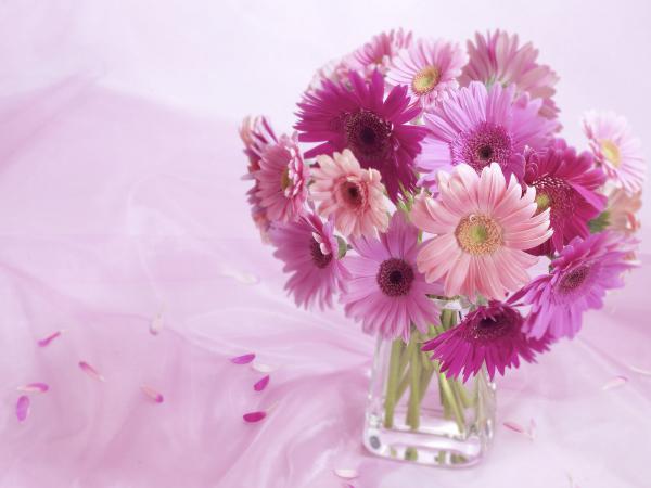 Free gerbera daisy arrangement wallpaper download