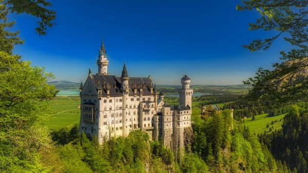 Free germany neuschwanstein bavaria castle with blue sky background hd travel wallpaper download