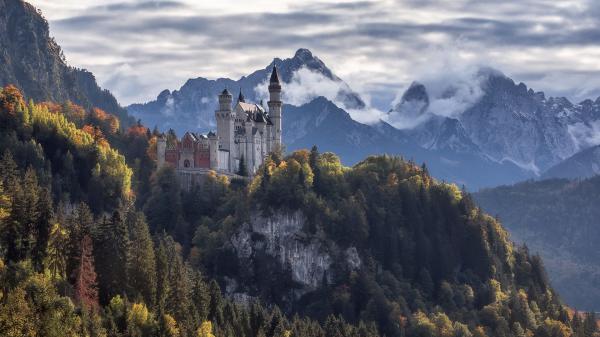 Free germany neuschwanstein castle surrounded by green trees covered mountains hd travel wallpaper download