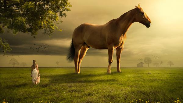 Free girl horse landscape 4k wallpaper download