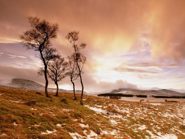 Free glen esk scotland wallpaper download