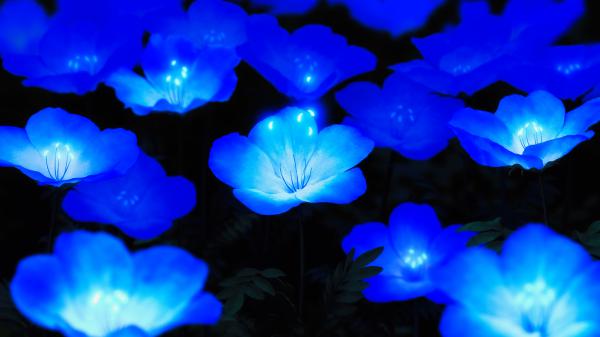 Free glowing blue flowers 4k 8k wallpaper download