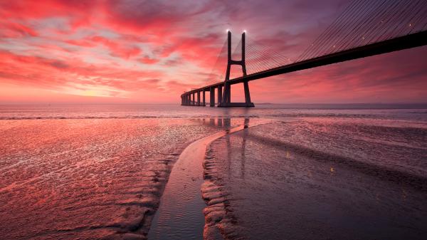 Free golden gate bridge at sunset wallpaper download