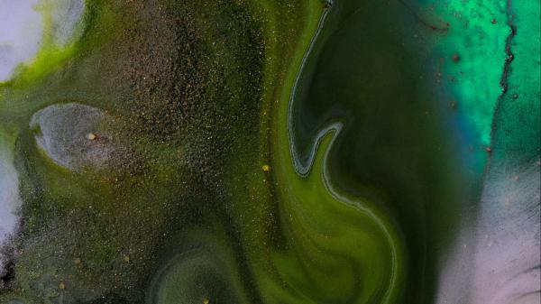 Free green ash paint liquid stains hd abstract wallpaper download