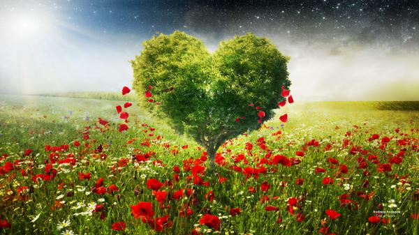 Free green love heart tree poppies wallpaper download