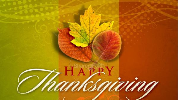 Free happy thanksgiving in green orange background hd thanksgiving wallpaper download