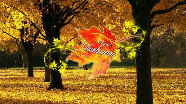 Free happy thanksgiving word in autumn yellow leafed trees background hd thanksgiving wallpaper download