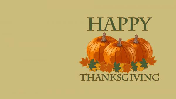Free happy thanksgiving word with pumpkin in light green background hd thanksgiving wallpaper download