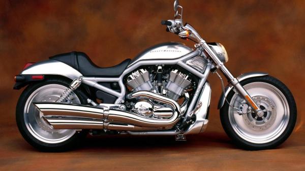 Free harley davidson v rod gray and black cruiser motorcycle 4k hd wallpaper download