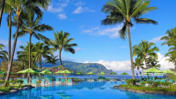 Free hawaii hotel mountain palm tree pool resort with reflection hd travel wallpaper download