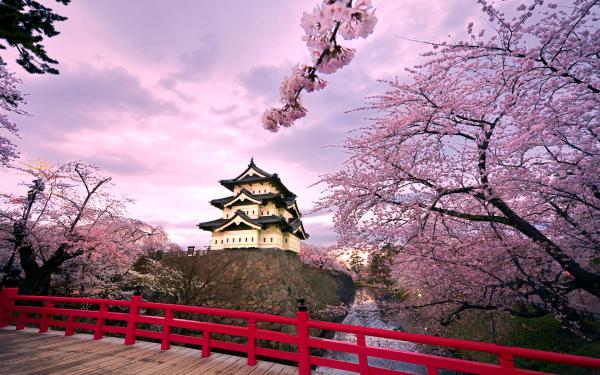 Free hirosaki castle japan wallpaper download